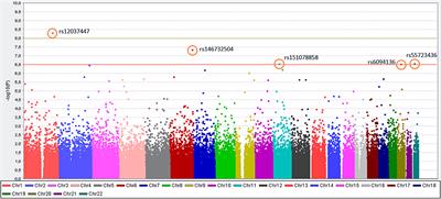 Association Between rs12037447, rs146732504, rs151078858, rs55723436, and rs6094136 Polymorphisms and Kawasaki Disease in the Population of Polish Children